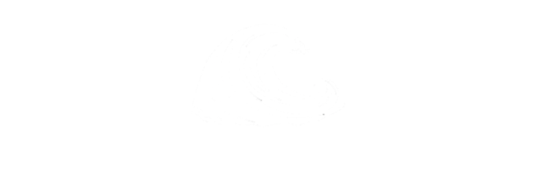 Coromandel Watch Co. logo